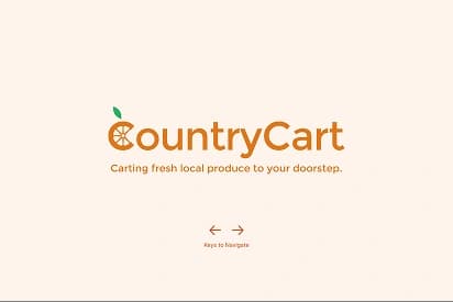 CountryCart product design case study preview